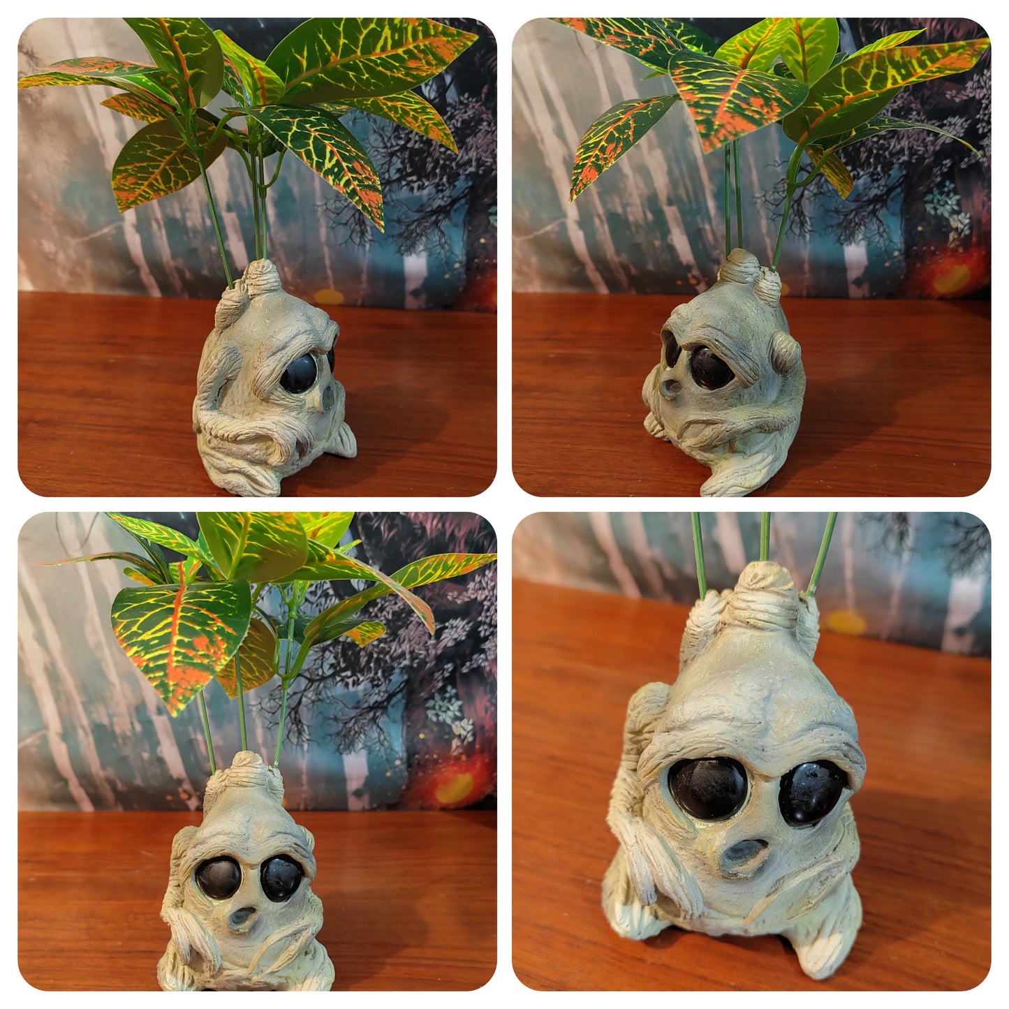 Mandragora Decorativa