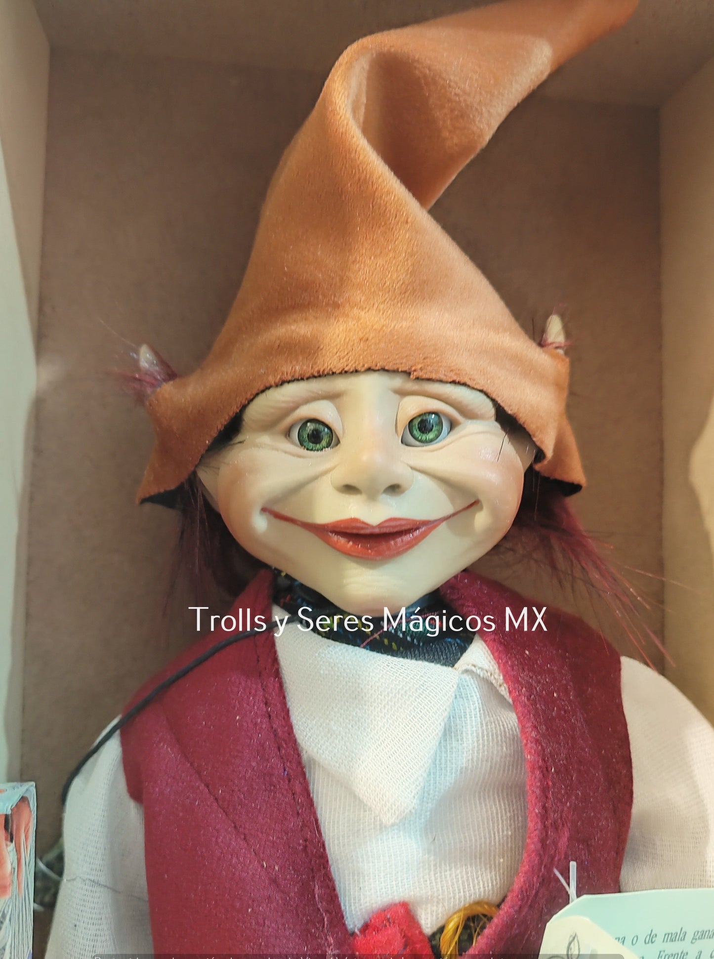 Elfo Latino Willy (Trabajo, Salud) 38 cm